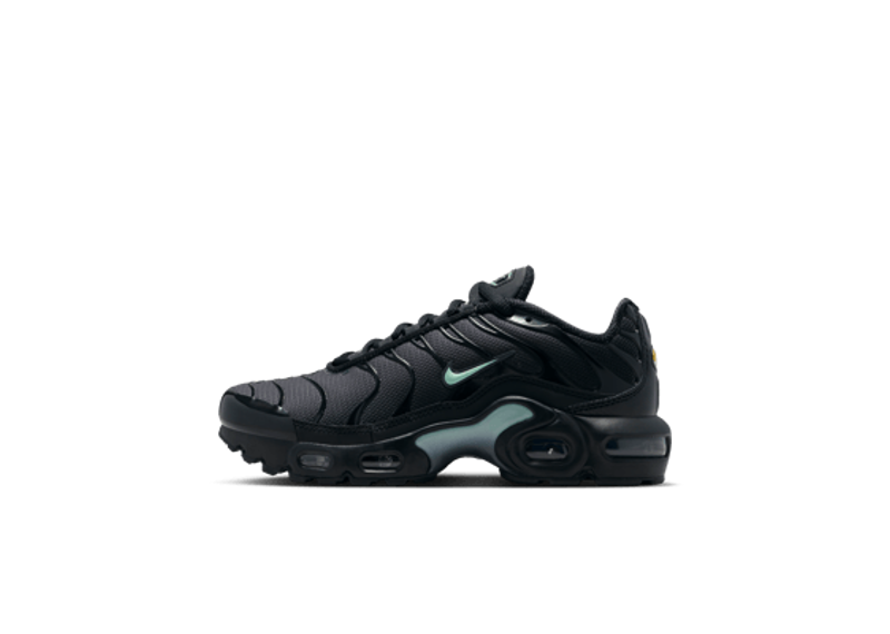 Nike Air Max Plus Black Mint Foam-Nike-pikastore.cz