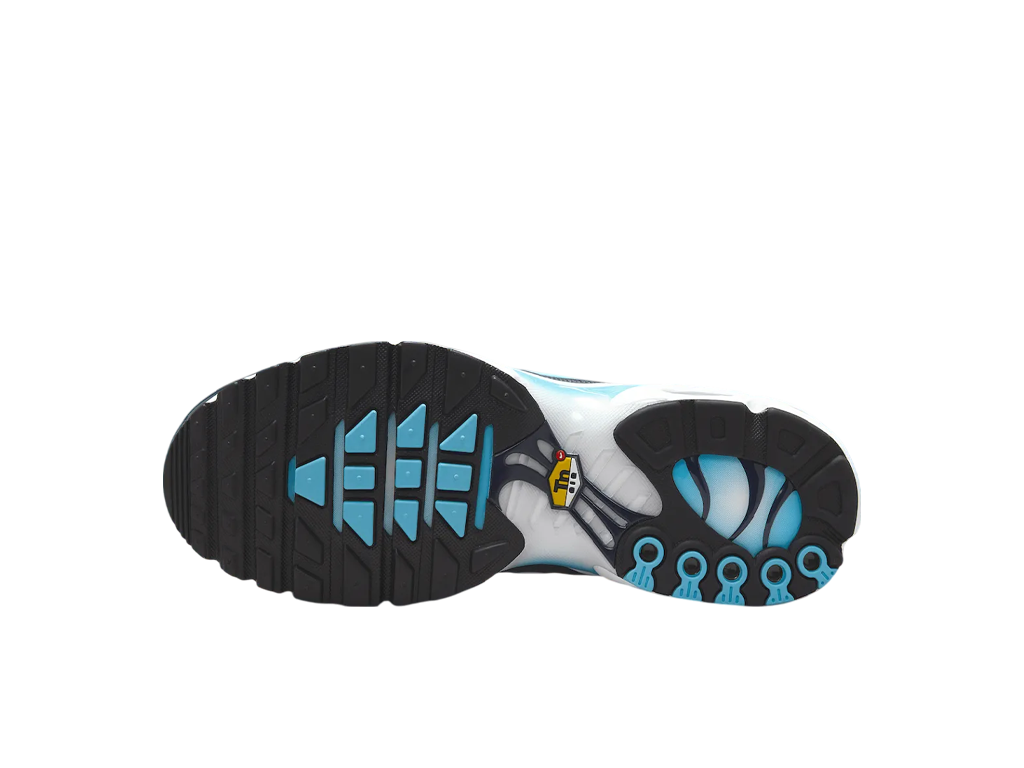 Nike Air Max Plus Dark Obsidian-Nike-pikastore.cz