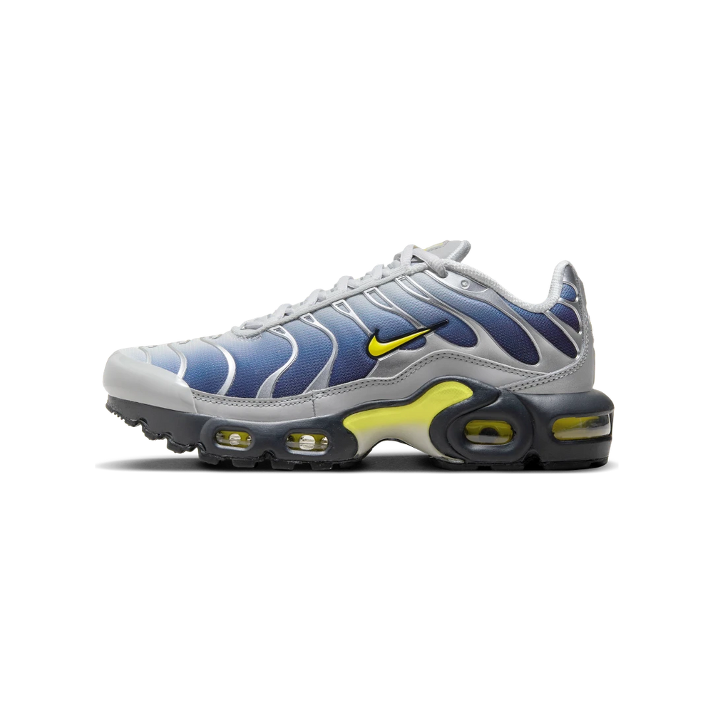 Nike Air Max Plus GS Obsidian Silver-Nike-pikastore.cz