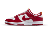 Nike Dunk Low USC