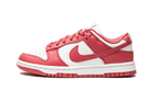 Nike Dunk Low Archeo Pink (Women's)-sneakers-Nike-pikastore.cz