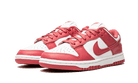 Nike Dunk Low Archeo Pink (Women's)-sneakers-Nike-pikastore.cz