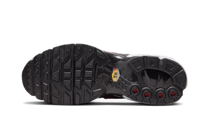 Nike Wmns Air Max Plus Dusk-Nike-pikastore.cz