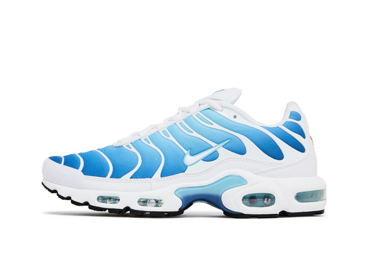 Nike Air Max Plus Sky Blue