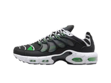 Nike Air Max Terra Plus