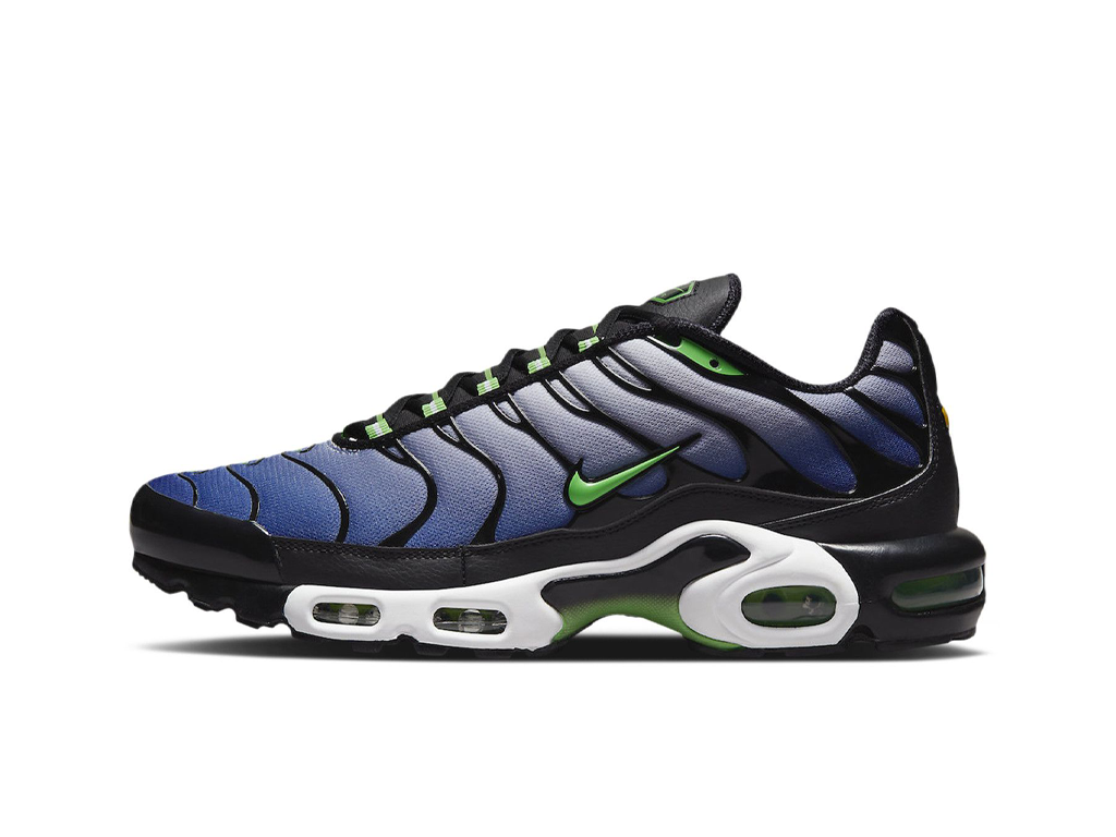 Nike Air Max Plus Icons