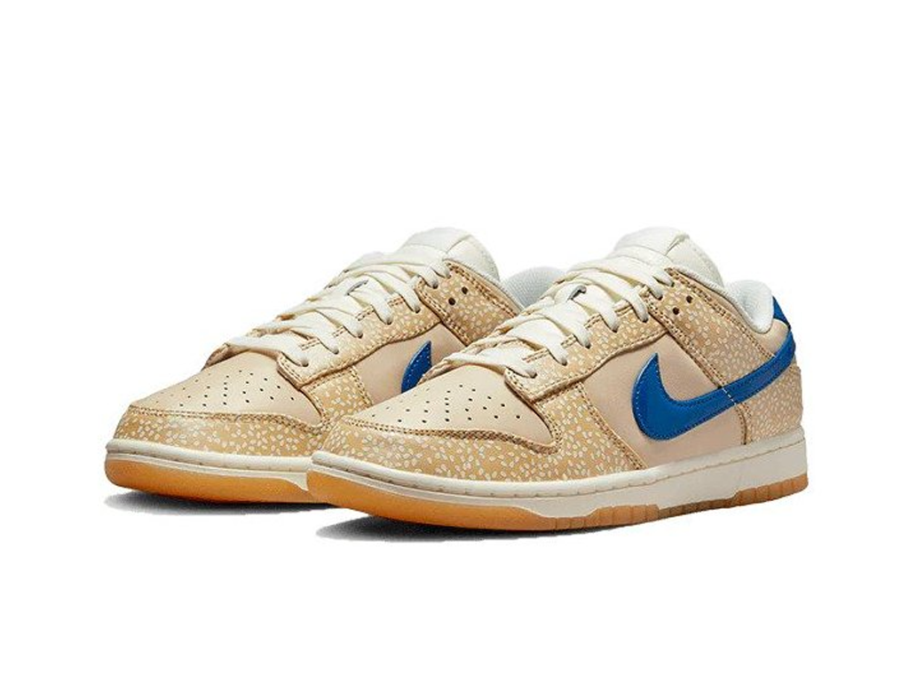 Nike Shoes Nike Factory Outlet Montreal Nike Dunk Low Premium