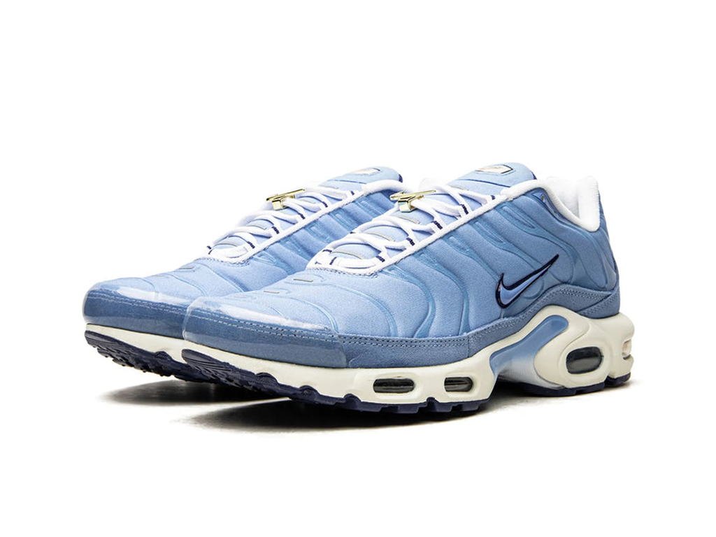 Nike Air Max Plus First Use University Blue