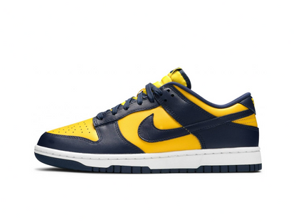 Nike Dunk Low Disrupt 2 Michigan (Women's)