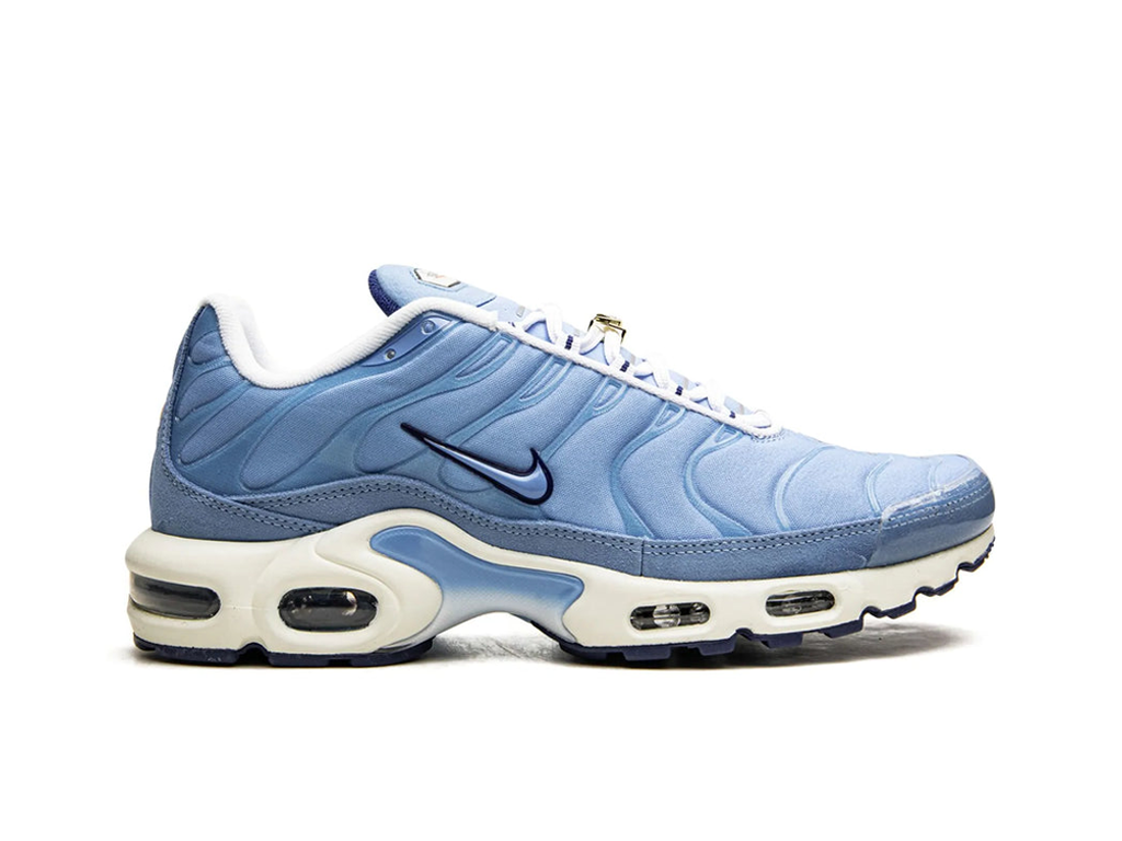 Nike Air Max Plus First Use University Blue