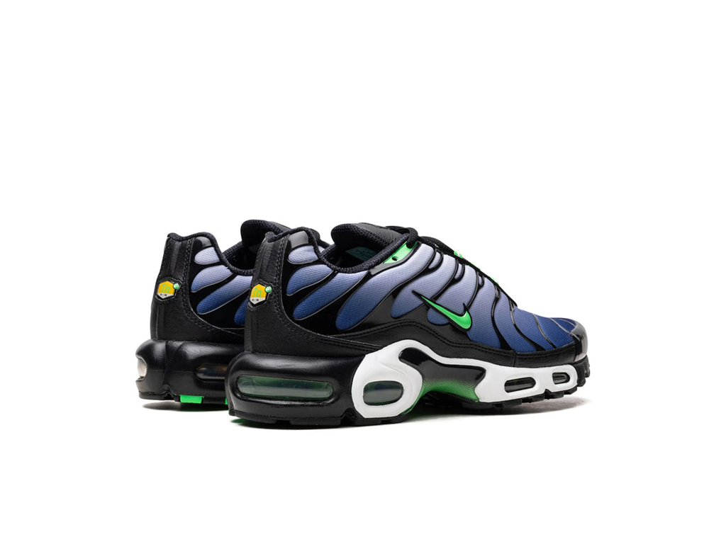 Nike Air Max Plus Icons