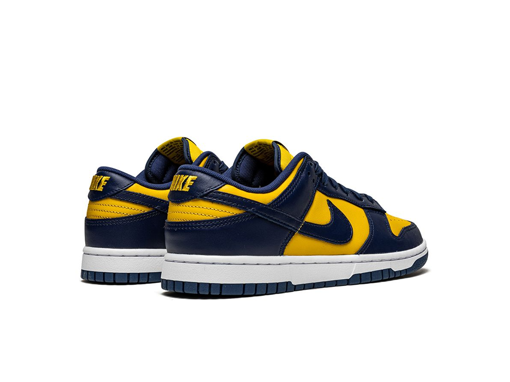 Nike Dunk Low Disrupt 2 Michigan (ženske)