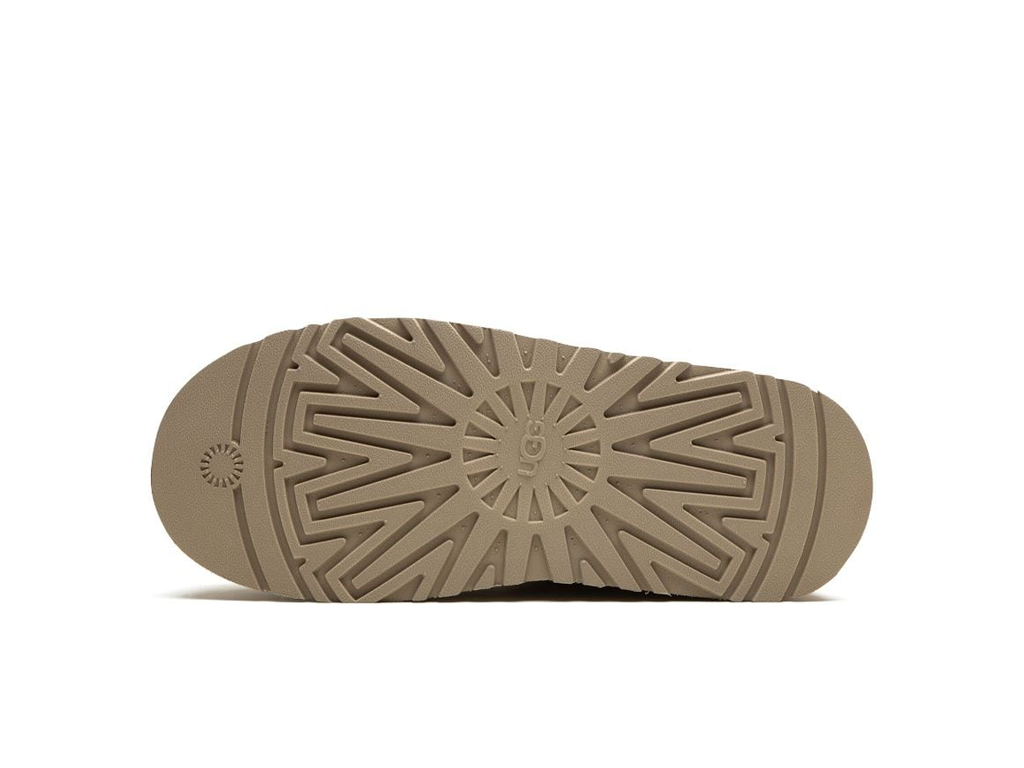 UGG Tazz Slipper Mustard Seed (Women's)