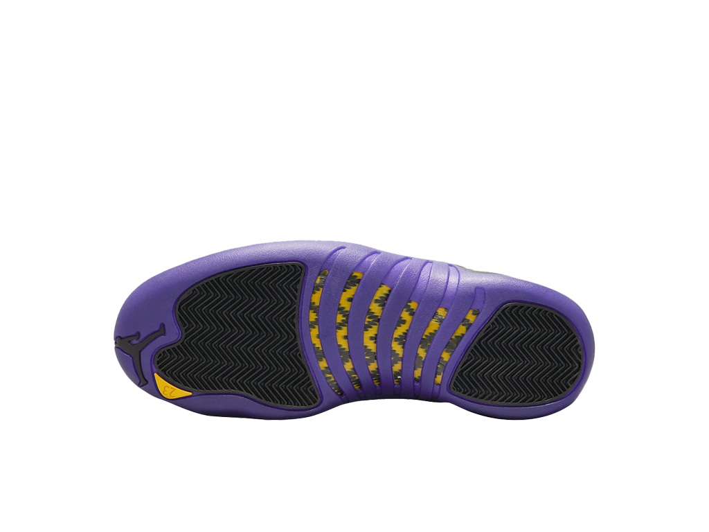 Air Jordan 12 Retro Field Purple-Air Jordan-pikastore.cz