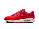 Air Max 1 Gym Red Crimson-Nike-pikastore.cz