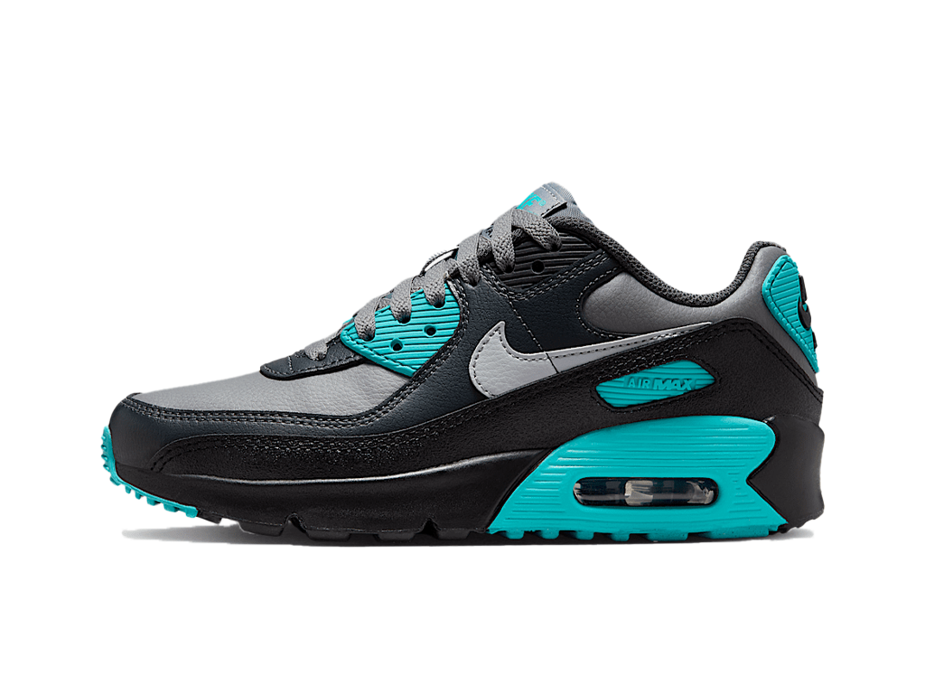 Nike Air Max 90 LTR Cool Grey Dusty Cactus Black Wolf Grey (GS)-Nike-pikastore.cz