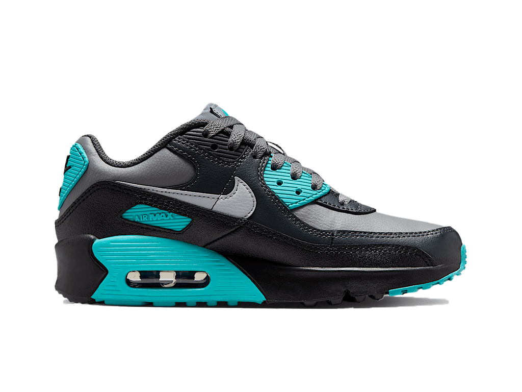 Nike Air Max 90 LTR Cool Grey Dusty Cactus Black Wolf Grey (GS)-Nike-pikastore.cz