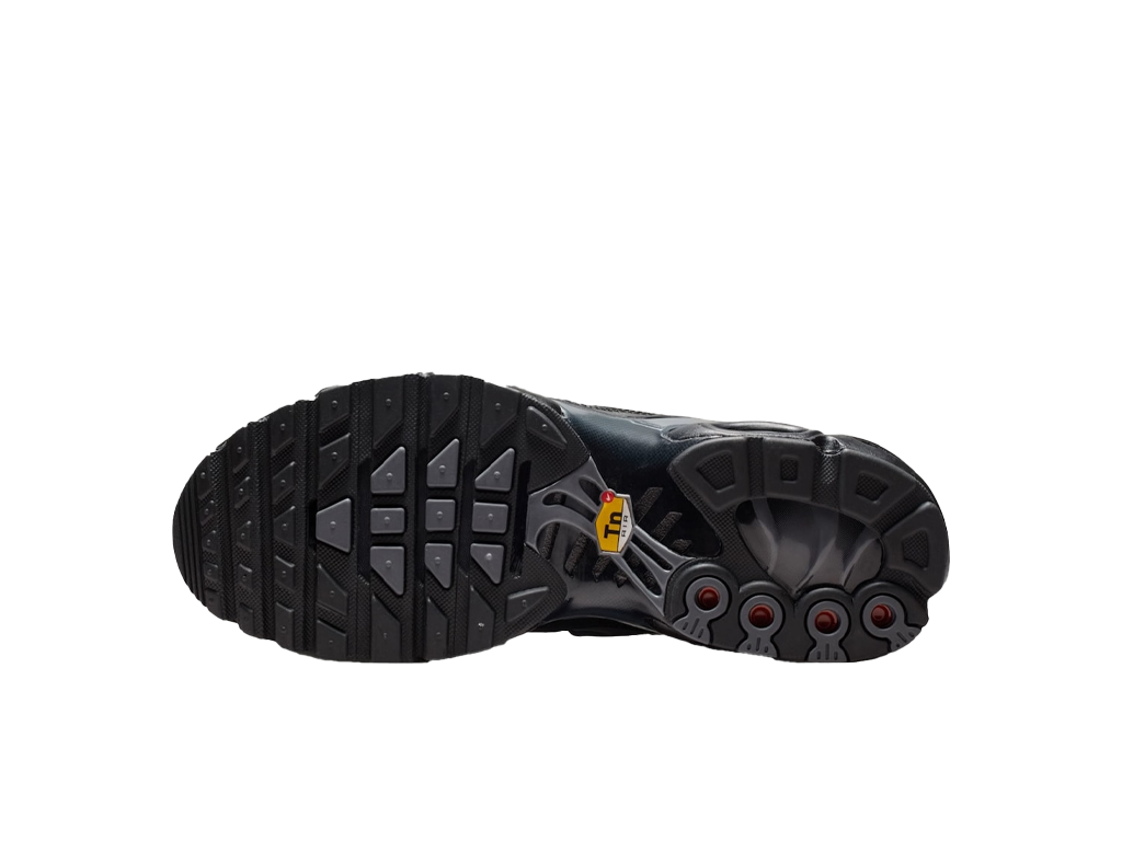 Nike Air Max Plus Black Gradient-Nike-pikastore.cz