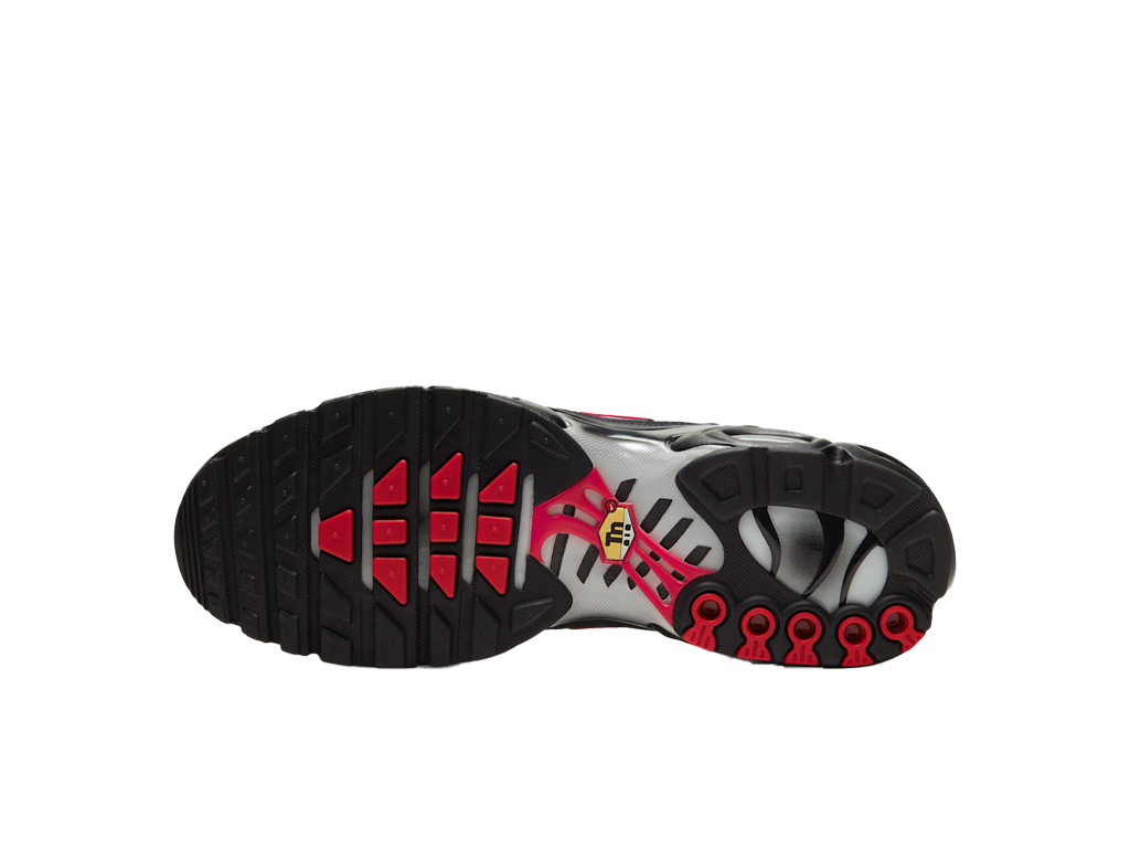 Nike Air Max Plus GS Black University Red-Nike-pikastore.cz