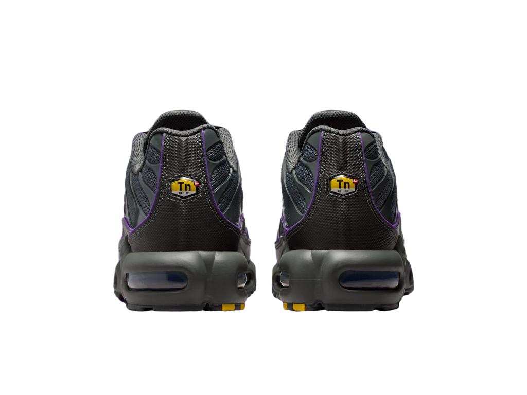 Nike Air Max Plus Iron Grey Wild Grape-Nike-pikastore.cz