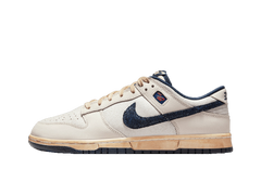 Nike Dunk Low Stranger Things Phantom