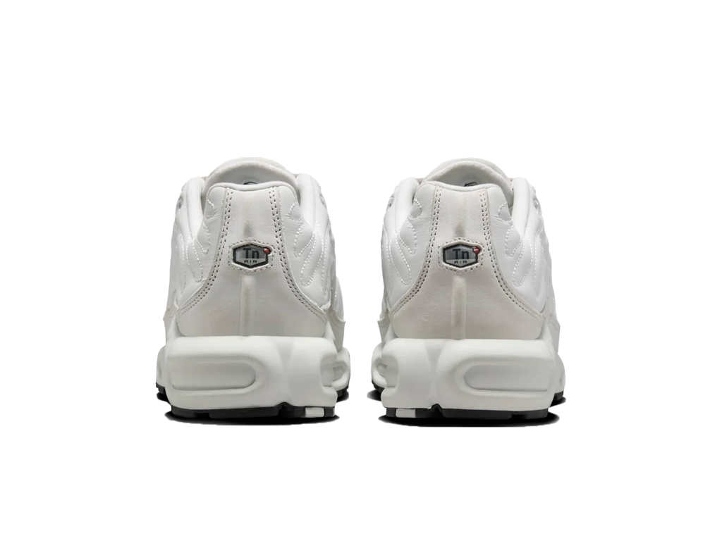 Nike Wmns Air Max Plus Platinum Tint
