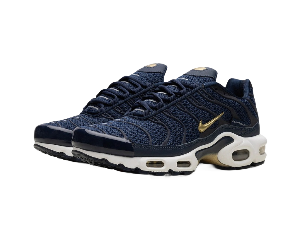Nike Air Max Plus French Football Federation-Nike-pikastore.cz