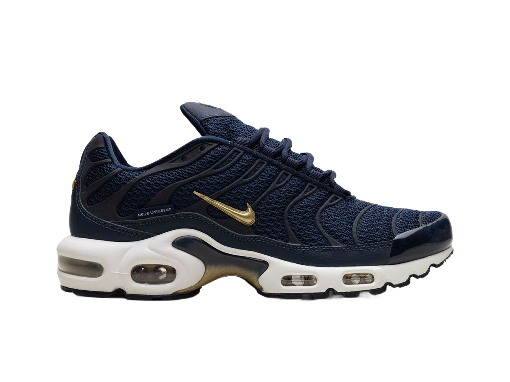Nike Air Max Plus French Football Federation-Nike-pikastore.cz