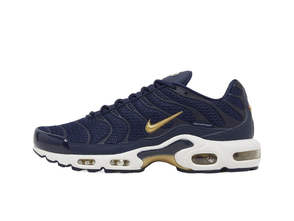 Nike Air Max Plus French Football Federation-Nike-pikastore.cz