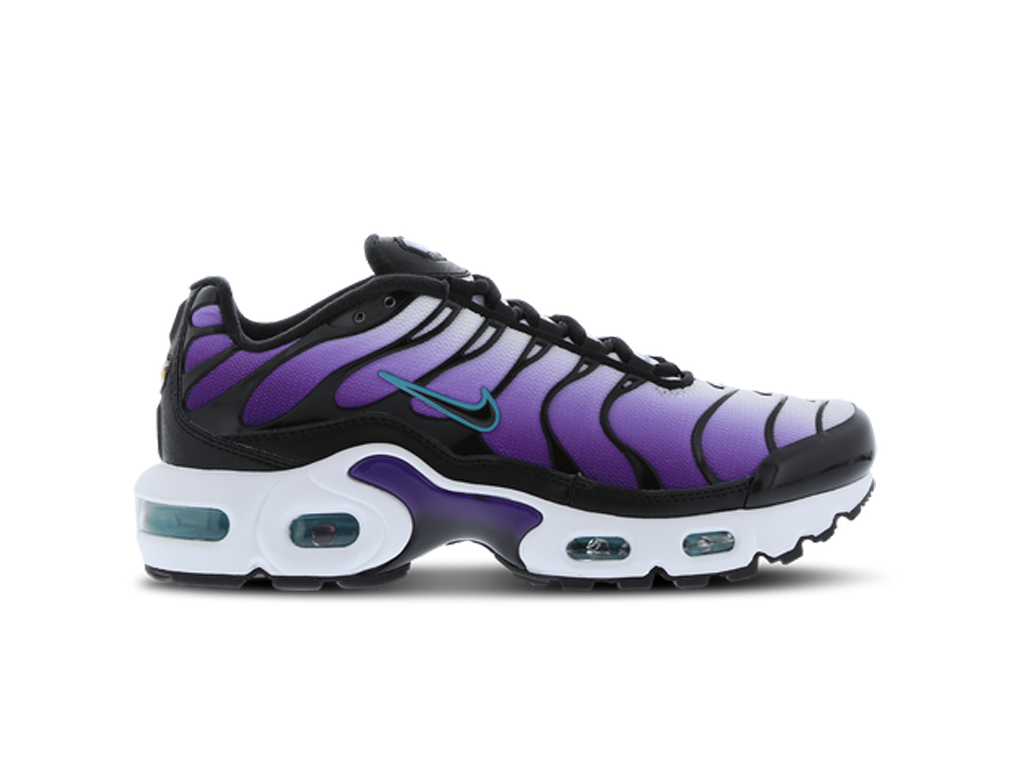 Nike Air Max Plus Reverse Grape