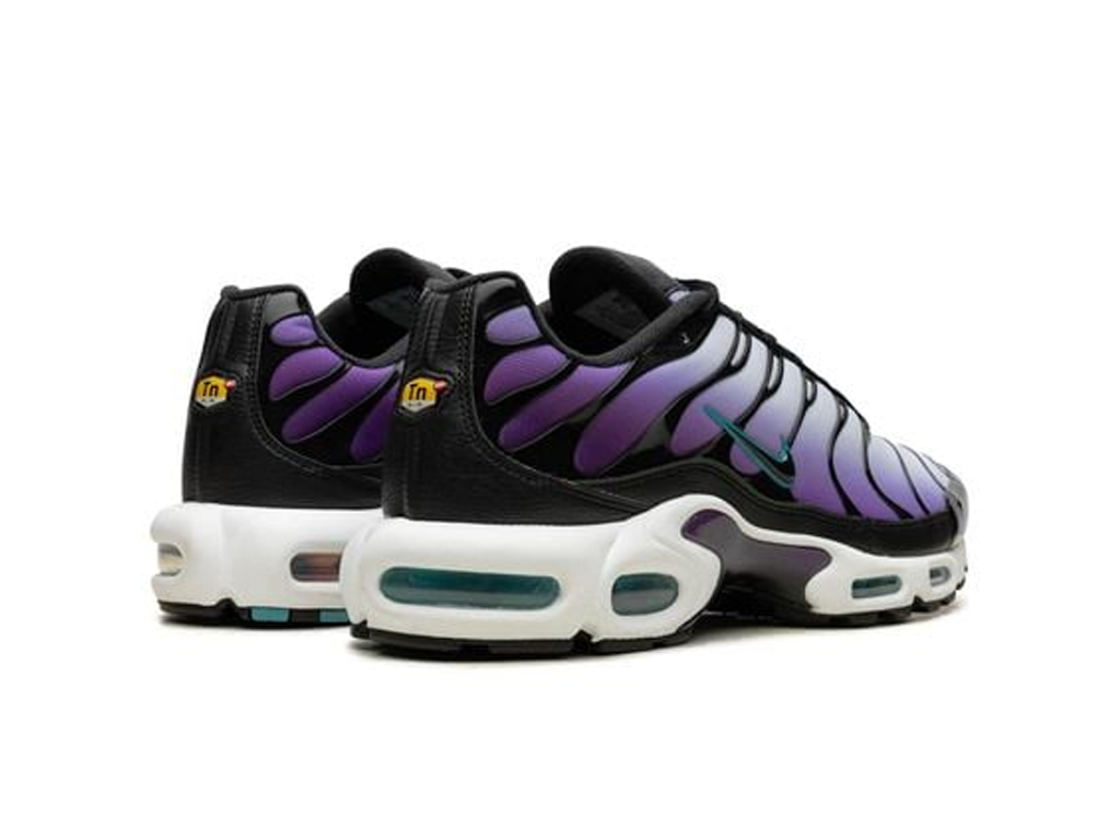 Nike Air Max Plus Reverse Grape