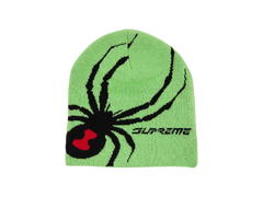 Supreme Spyder Beanie Green
