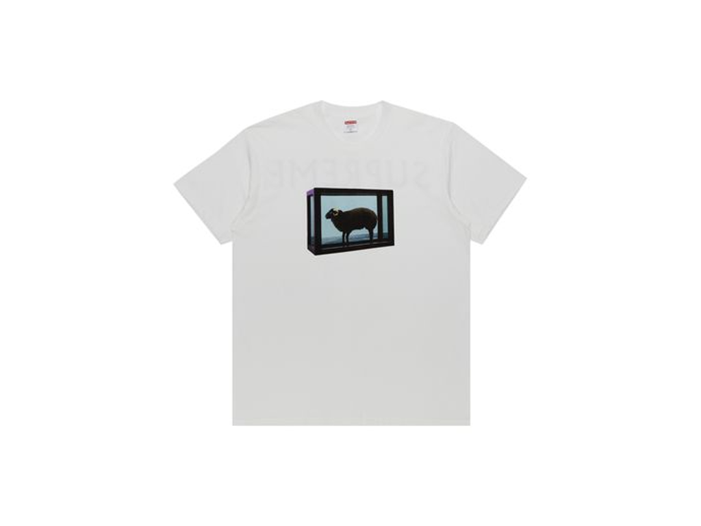 Supreme Damien Hirst Tee White-Supreme-pikastore.cz