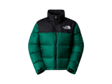 The North Face Womens 1996 Retro Nuptse Jacket Evergreen